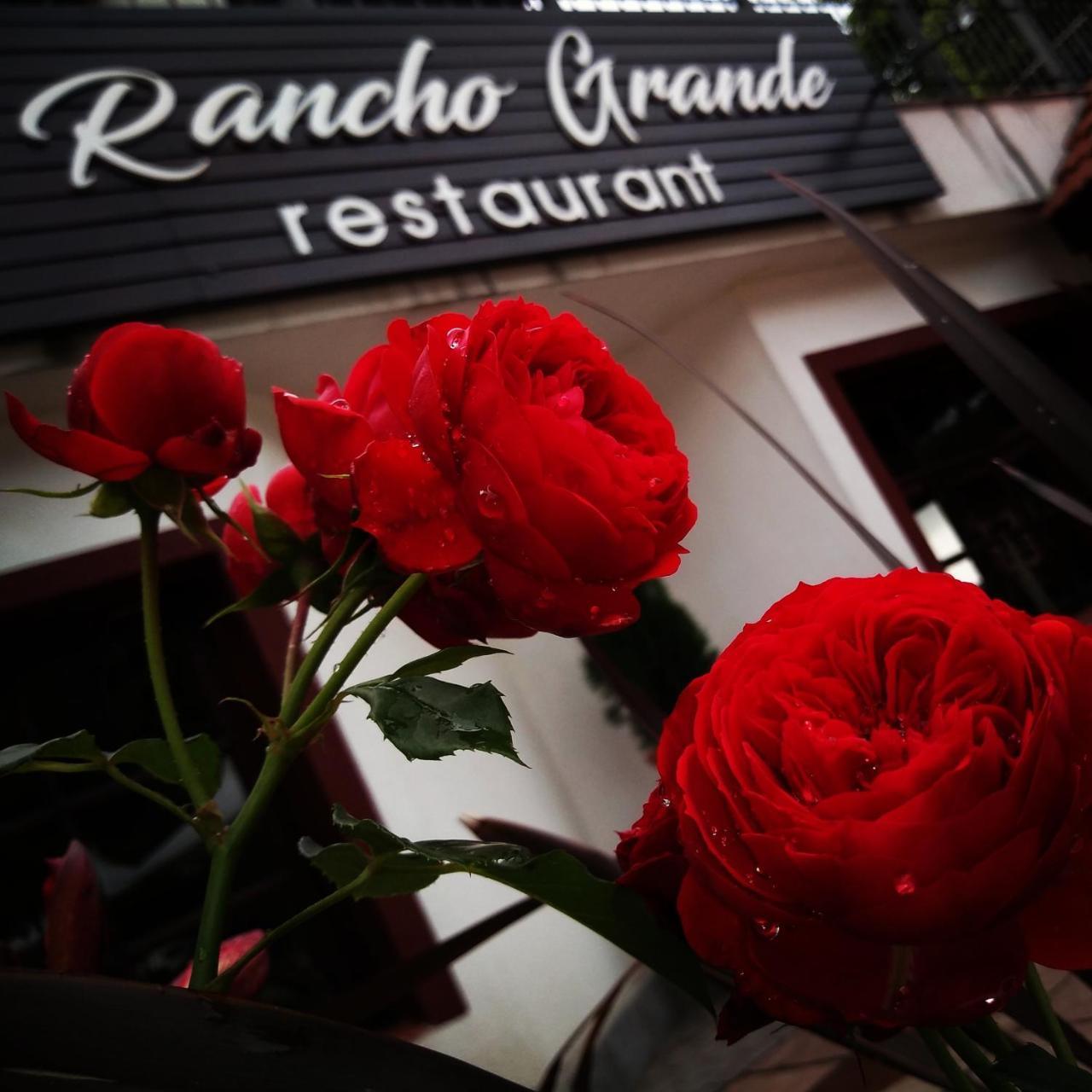 Rancho Grande Hotel 贝尔格拉诺将军镇 外观 照片